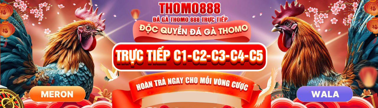 THOMO888